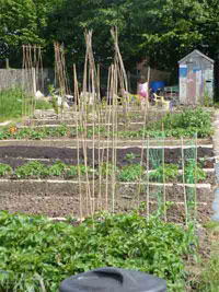 Allotment
